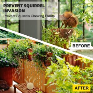 Squirrel Repellent Outdoor,Chipmunk Repellent Outdoor,Mint Squirrel Deterrent Outdoor,Squirrel Repellents for Garden, Get rid of Squirrels, Multi-Use Formula for Gardens, Attics and Around Home 8P