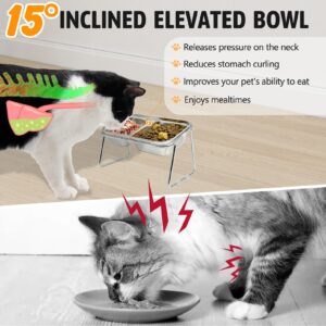 BNOSDM Raised Cat Bowls Stainless Steel 15° Tilted Elevated Kitten Food Bowl Stand, Double Food and Water Bowl Set Pet Anti Vomiting Feeder and Scoop Anti Slip Feet for Cats and Small Dogs