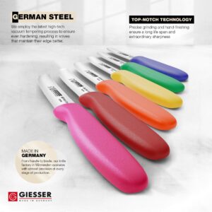 Giesser since 1776, Made in Germany, Colorful serrated Utility kitchen knives round tip dishwasher safe 4.5 inch - paring knife, Tomato knife, Steak knives set of 6, restaurant knife