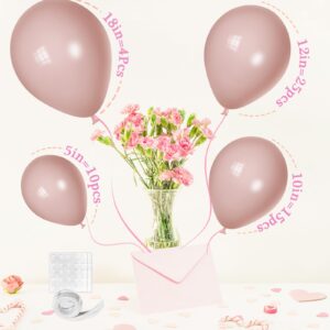 Dusty Pink Balloons, Scmdoti Pale Pink Balloons Different Sizes 18 12 10 5 Inches, Pink Balloon Garland Arch for Birthday Baby Shower Wedding Anniversary Graduation Party Decorations(Dusty Pink)