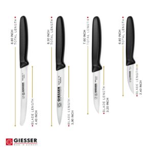 Giesser since 1776, Made in Germany, small Paring knife set of 4, rustfree, dishwasher safe - sheepsfoot paring knife, tomato knife, peeling knife, vegetable knife