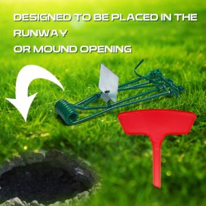 Qualirey 4 Pcs Outdoor Gopher Trap Easy to Set Mole Trap Weather Resistant Gopher Killer Vole Trap with Red T Type Labels for Lawn Garden Farm (Green)