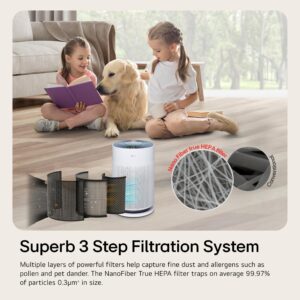 LG PuriCare 360 Air Purifiers for Home, Large and Small Room, Bedroom, Up to 2,059 ft² in 1 Hr with NanoFiber True HEPA Filter, 360 Degrees of Filtration, WiFi, Air Quality Monitor, Low Noise