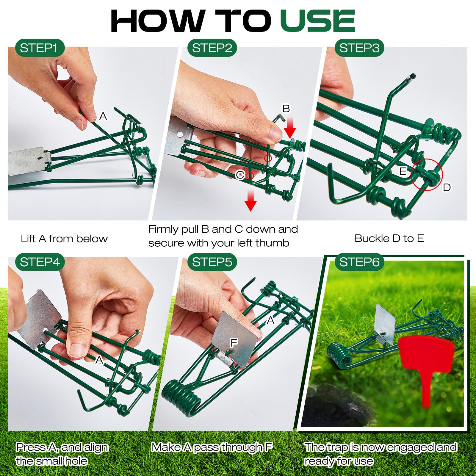 Qualirey 4 Pcs Outdoor Gopher Trap Easy to Set Mole Trap Weather Resistant Gopher Killer Vole Trap with Red T Type Labels for Lawn Garden Farm (Green)