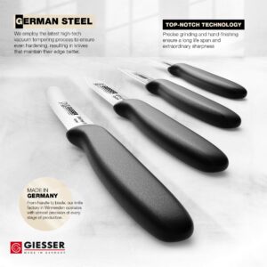 Giesser since 1776, Made in Germany, small Paring knife set of 4, rustfree, dishwasher safe - sheepsfoot paring knife, tomato knife, peeling knife, vegetable knife