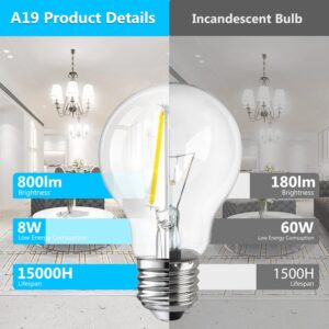 DAYBETTER 4 Pack LED Edison Bulbs, E26 LED Bulb 60W Equivalent, High Brightness 800 LM Daylight White 5000K, A19 LED Filament Light Bulbs, Clear Glass Style for Home, Non-Dimmable