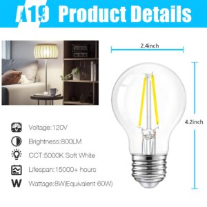 DAYBETTER 4 Pack LED Edison Bulbs, E26 LED Bulb 60W Equivalent, High Brightness 800 LM Daylight White 5000K, A19 LED Filament Light Bulbs, Clear Glass Style for Home, Non-Dimmable