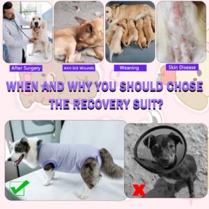 Uadonile Dog Surgery Recovery Suit, Surgical Recovery Suit for Dog Male Female, Spay Neuter Dog Recovery Suit, Cone Alternative Dog Surgical Onesie Purple, Medium