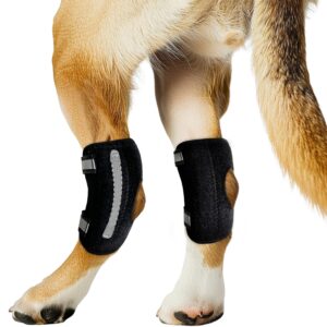 dog knee brace for torn acl hind leg and luxating patella, canine rear hock joint support, joint injury and sprain protection, removable design, comes with 2 spring bars and 2 steel bars (xs pair)