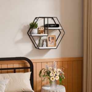 WFSRESTD Hexagon Shelves for Wall - Wooden Floating Shelf for Wall Home Decor, Resilient Metal Honeycomb Wall Shelf for for Bedroom, Living Room, Bathroom