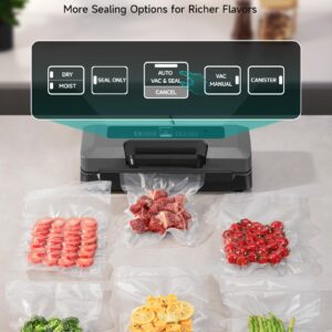 HiCOZY Vacuum Sealer, Full Automatic Vacuum Sealer Machine for Food, Handle Locked Design, Build-in Cutter, Compact Design Food Sealer With All Starter Kits, 5 Modes and 5-Year Quality Commitment