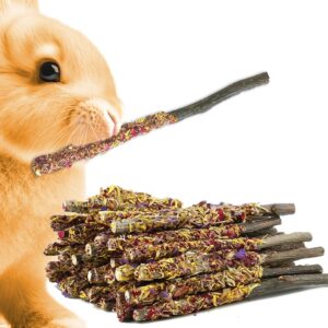 sungrow apple sticks, wood chew sticks for rabbits, chinchillas, bunny, hamster, squirrel, guinea pigs, small animals molar pet chew toys treat sticks for teeth grinding (20 pcs)