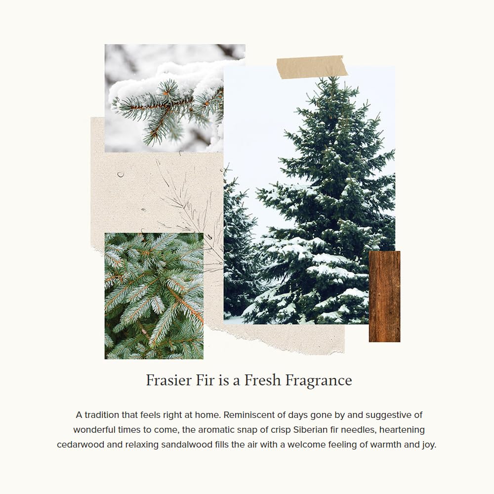 Thymes Frasier Fir Candle – Frosted Plaid Jar Candles – Green & White Candle Jar Design – Scented Candles with Notes of Siberian Fir, Cedarwood & Sandalwood – Holiday Candles – Poured Candle (6.5 oz)