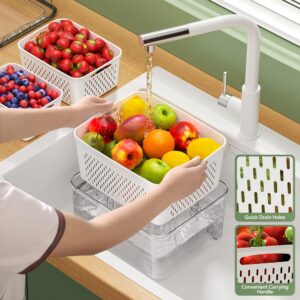 5 PCS Large Fruit Storage Containers for Fridge, Airtight Food Storage Containers with Removable Colander, Dishwasher & Microwave Safe, Berries Containers Keep Vegetables, Fruits Fresh Longer