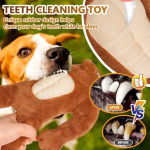 TonyEst Dog Toys, Squeaky Dog Toys for Puppies, Small, Medium and Large Dogs, Durable Plush Dog Toys for Teething and Boredom, Interestingly Dog Toys Bear to Keep Them Busy