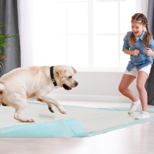 Dog Pee Pads 22"x23" , 30 Count Disposable Puppy Pads Pee Pads for Dogs, Pet Training Pads Super Absorbent Leak-Proof Pee Pads (30 Count)