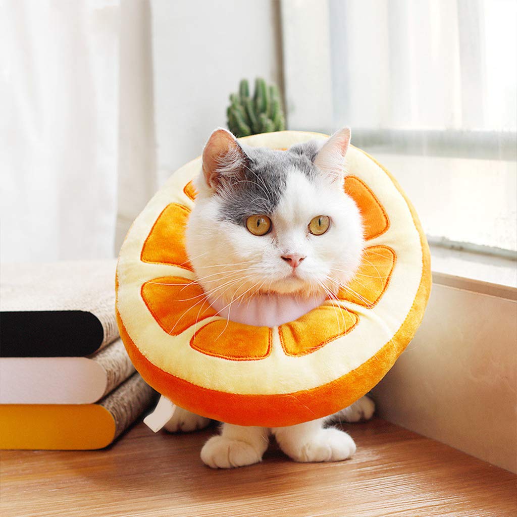 staol Fruit Shaped Adjustable Cute Pet Dog for Recovery Collar Puppy Kitten Anti-bite Soft Neck Cone for Protection 1, Pineapple