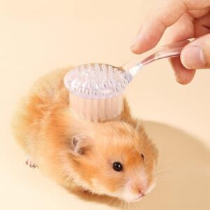 6 Pcs Hedgehog Bath Supplies Kit, Foldable Bathtub and Cleaning Brush with Pet Hair Comb, Pet Nail Clipper, Swimming Ring, Towel for Small Animal Hamster, Bunny, Guinea Pig, Lizards, Turtle