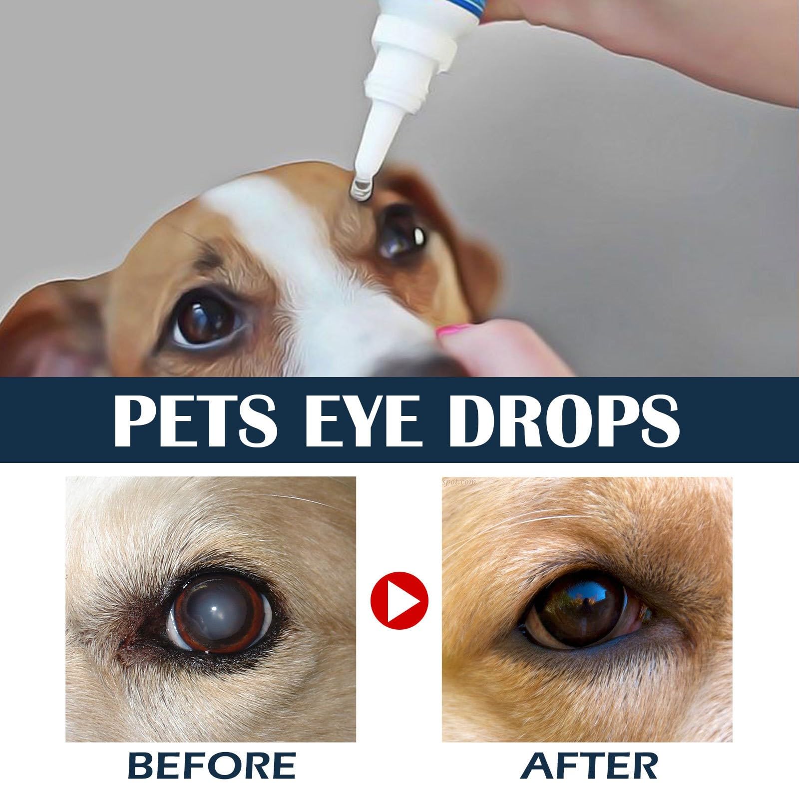 BTAKANPP Dog and Cat Eye Wash Eye Drops for Dogs and Cats to Flush and Soothe Eye Irritations, Dog Tear Stain Cleaner, Safe for All Animals (1PCS)