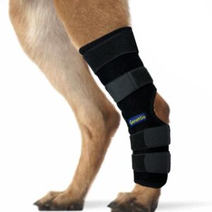 genetgo dog canine rear leg hock joint brace compression brace wrap sleeve for protection,sprain and injury prevention,ankle brace with knee support for dogs-large