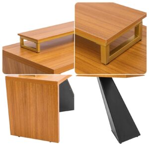 ChicFurnit Rectangular Computer Home Office Desk, Teak