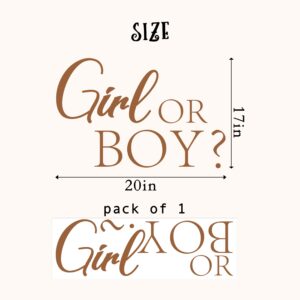 CIEQR Girl or Boy Gender Reveal Sign Decal - Baby Shower Party Decal Sign, Baby Shower Decorations for Party, Balloon Arch, Backdrop, Room...…