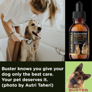 Busters 2Pack Calming Pet Hemp Oil for Dogs, Cats, Infused with Melatonin for Dogs, Sleep Support, Pain Relief, Natural Anxiety Relief, Ideal Omega Ratio, Adrenal Support (Calming Formula 2-Pack)