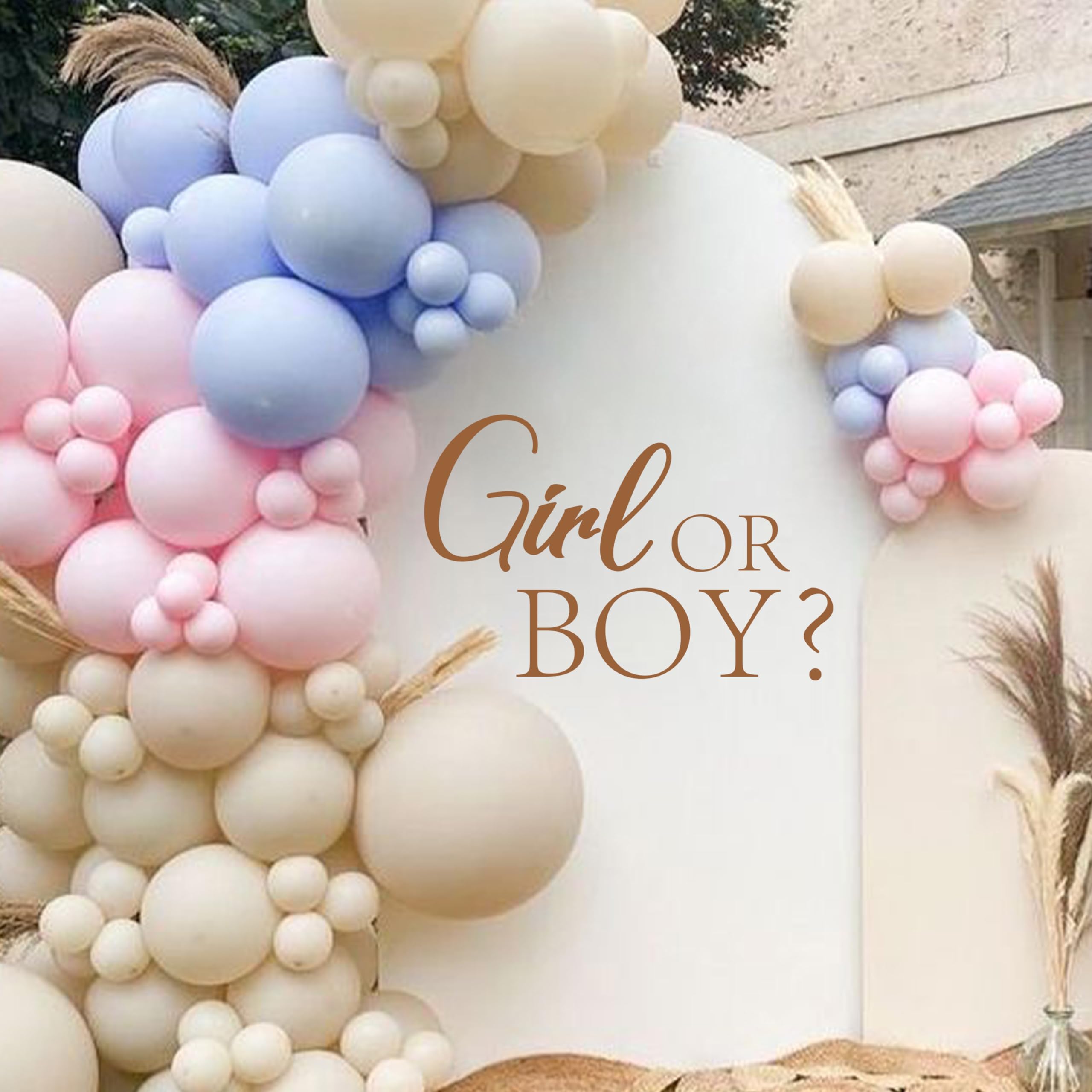 CIEQR Girl or Boy Gender Reveal Sign Decal - Baby Shower Party Decal Sign, Baby Shower Decorations for Party, Balloon Arch, Backdrop, Room...…