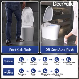 DeerValley Smart Toilet with Bidet Built In, Tankless Toilet with Auto Open & Close, Auto Flush, Heated Seat, Warm Water Sprayer & Dryer, Deodorization, and Remote Control, DV-1S0160-V3