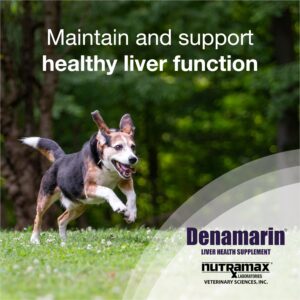 Nutramax Denamarin Liver Health Supplement for Medium Dogs - with S-Adenosylmethionine (Same) and Silybin, 30 Blister Pack Tablets