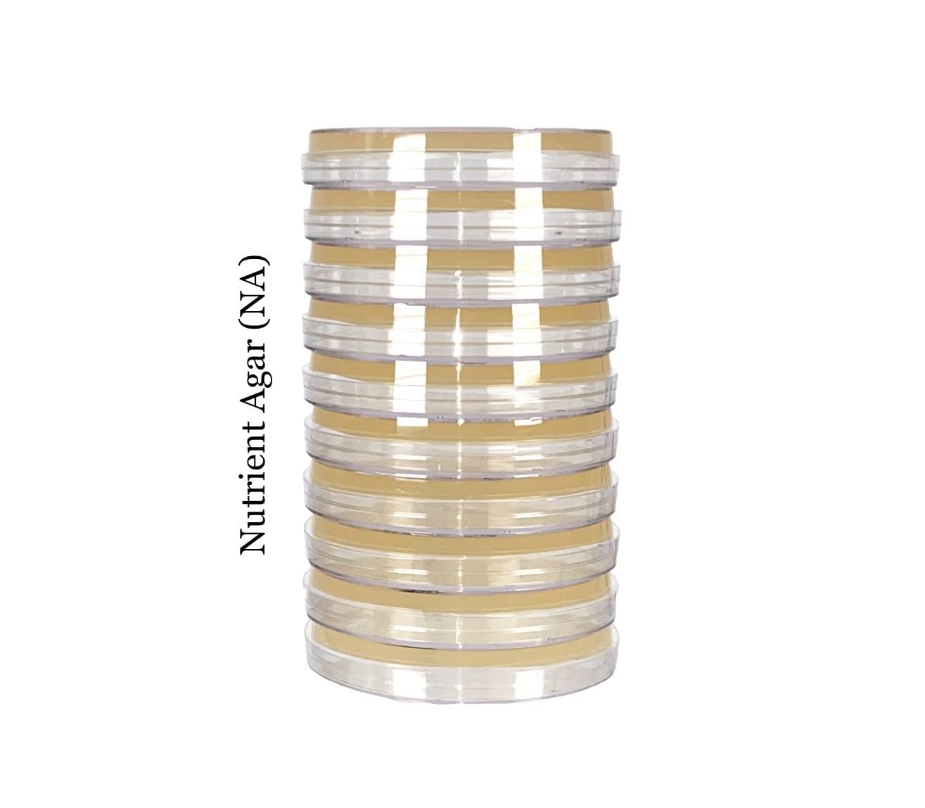 Nutrient Agar-II (NA), (10-Pack), Pre-Poured, 15x100mm Petri Plates. General Purpose Media for Isolation and Cultivation of a Variety Bacteria and Fungi.