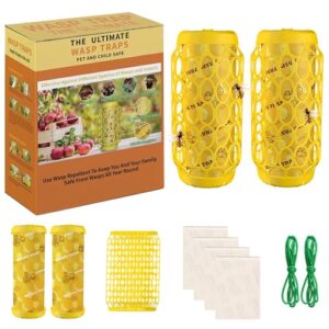 wasp trap carpenter bee trap 2 pcs & replaceable sticky boards 4 pcs & hanging strings 2 pcs | repellent wasp trap hanging for yellow jacket wasp killer catcher | reusable & durable bee catcher