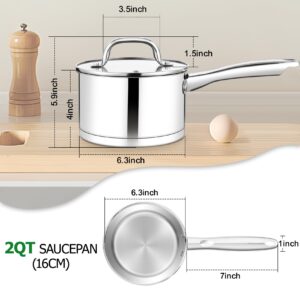 TeamFar 2 qt Saucepan with Lid, Stainless Steel Small Sauce Milk Pan with Tri-ply Bottom for Induction/Gas/Electric/Ceramic, Healthy & Heavy Duty, Mirror Finish & Straight Side, Dishwasher Safe