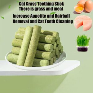 GDSAFS Cat Grass Teething Stick, Cat Grass for Indoor Cats, Cat Grass Sticks, Freeze Dried Cat Grass Tooth Grinding Stick for Hairball Removal, Teeth Cleaning, Increase Appetite (6pcs)