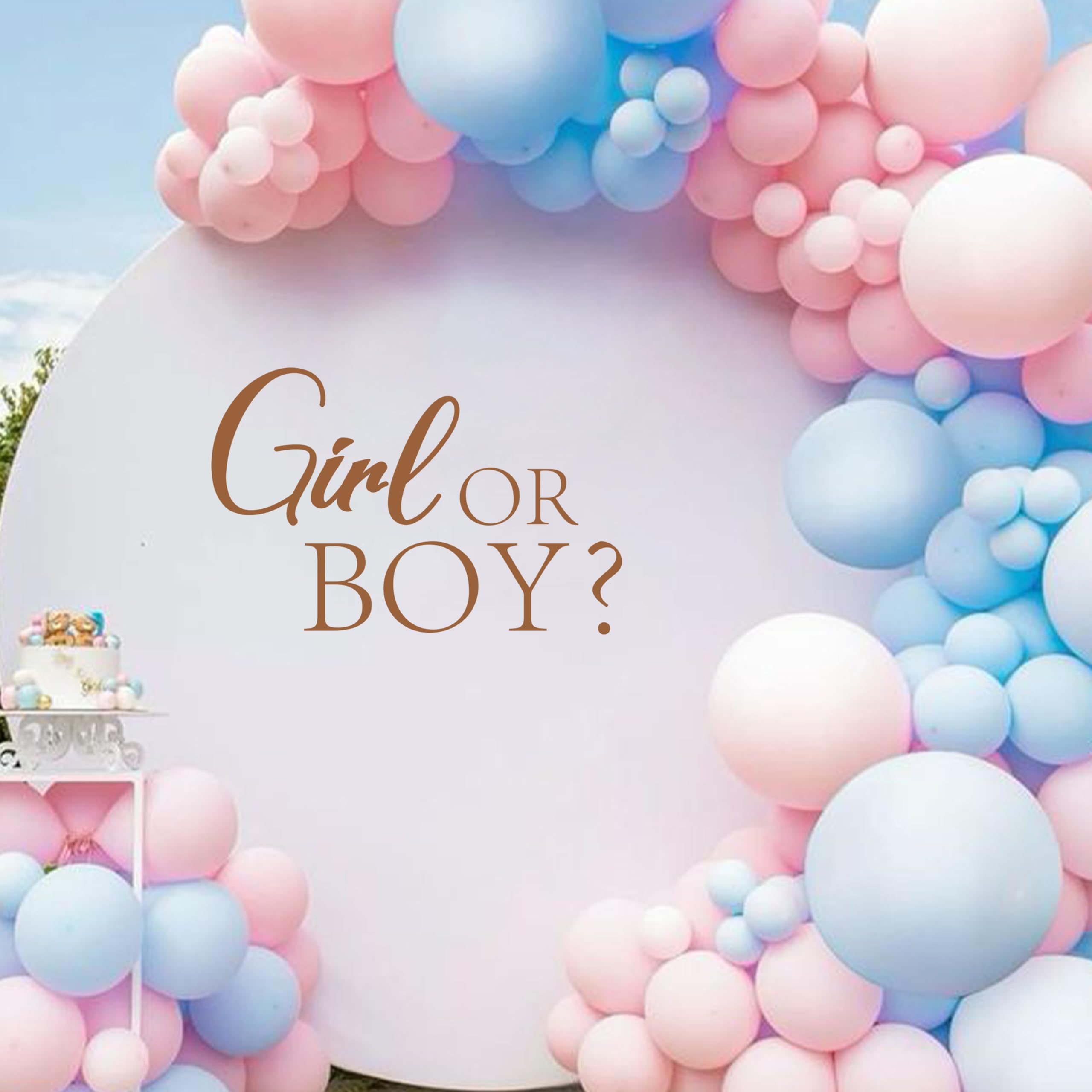 CIEQR Girl or Boy Gender Reveal Sign Decal - Baby Shower Party Decal Sign, Baby Shower Decorations for Party, Balloon Arch, Backdrop, Room...…