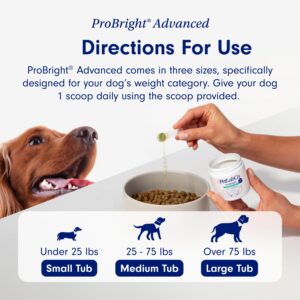 PetLab Co. – Gut & Breath Bundle: Dental Powder for Fresh Breath in 1 Scoop. for Medium Dogs & Salmon Dog Probiotics to Support a Healthy Gut - Easy to Use – Innovative Formulas