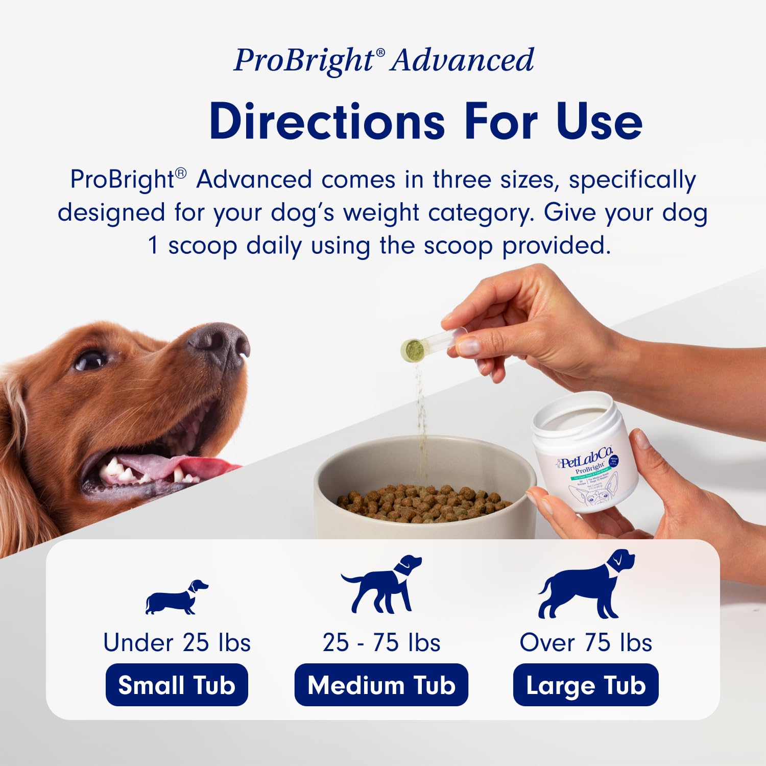 PetLab Co. – Gut & Breath Bundle: Dental Powder for Fresh Breath in 1 Scoop. for Small Dogs & Salmon Dog Probiotics to Support a Healthy Gut - Easy to Use – Innovative Formulas