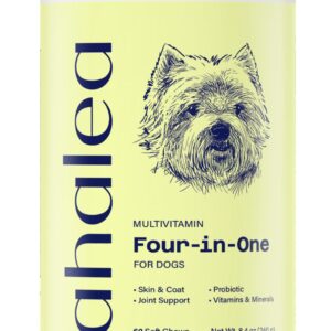 Multivitamin Treats for Dogs - Glucosamine Chondroitin for Joint Support + Digestive Enzymes & Probiotics - Grain Free Dog Vitamin for Skin & Coat + Immune Health - 60ct