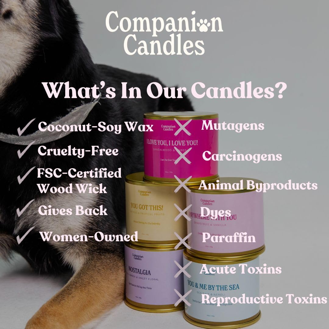 Companion Candles Pet Safe Wood Wick Candle - “I Love You, I Love You!” Sandalwood & Amber, Coconut Soy Wax Scented, Over 50 Hr Burn Time, Non-Toxic, Women-Owned, Made in USA (3 oz.)