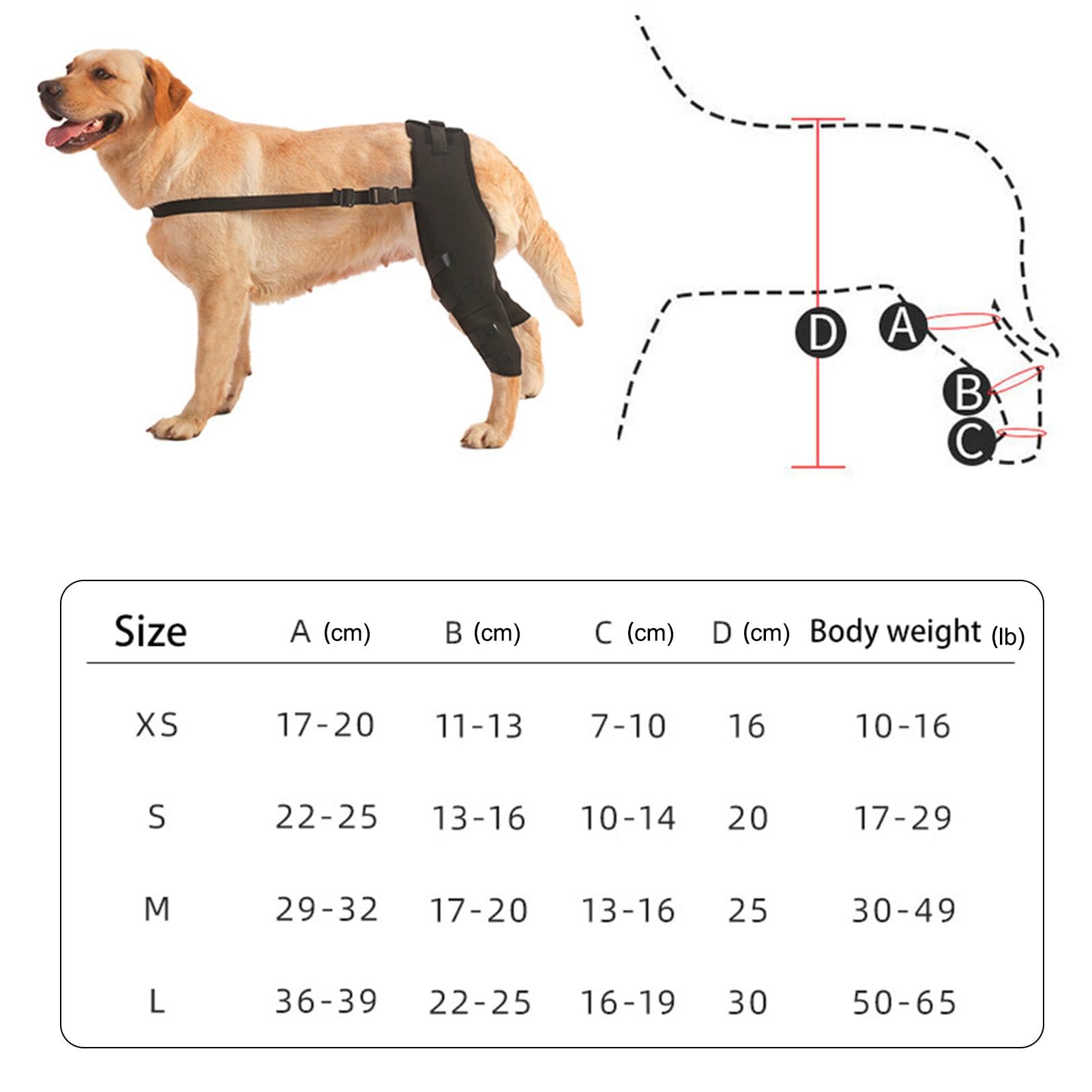 Rear Leg Knee Brace - Dog Leg Support Brace |Dog Acl Knee Brace | Canine Dog Wrist Brace Splint | Dog Hip Brace Support | Rear Leg Knee Brace | Protect Wounds | Prevent Injuries For Small, Medium Dogs