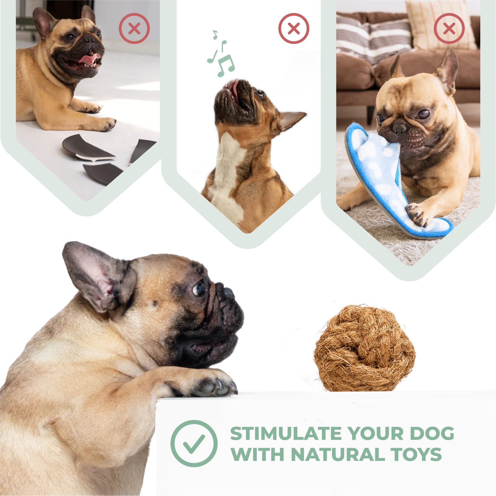 Alfred & Beebee Eco-Friendly Coffee Wood Dog Chew Toy Pack - for Regular Chewers - Dog Dental Chew