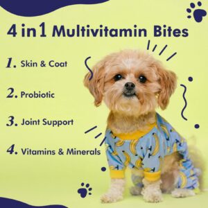 Multivitamin Treats for Dogs - Glucosamine Chondroitin for Joint Support + Digestive Enzymes & Probiotics - Grain Free Dog Vitamin for Skin & Coat + Immune Health - 60ct