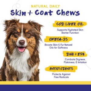 PupGrade Skin & Coat Chews - Omega-3 Coat + Shed Care + Allergy Defense - Soft, Chewable Supplement with Natural Fish Oils for Dogs - No Wheat, Corn, or Grains - Meat Flavored - 60 Soft Chews