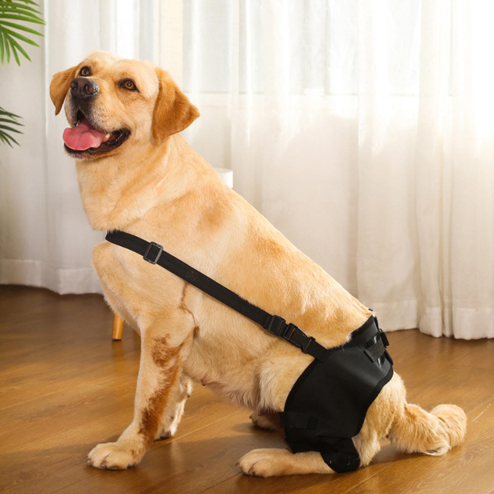 Rear Leg Knee Brace - Dog Leg Support Brace |Dog Acl Knee Brace | Canine Dog Wrist Brace Splint | Dog Hip Brace Support | Rear Leg Knee Brace | Protect Wounds | Prevent Injuries For Small, Medium Dogs