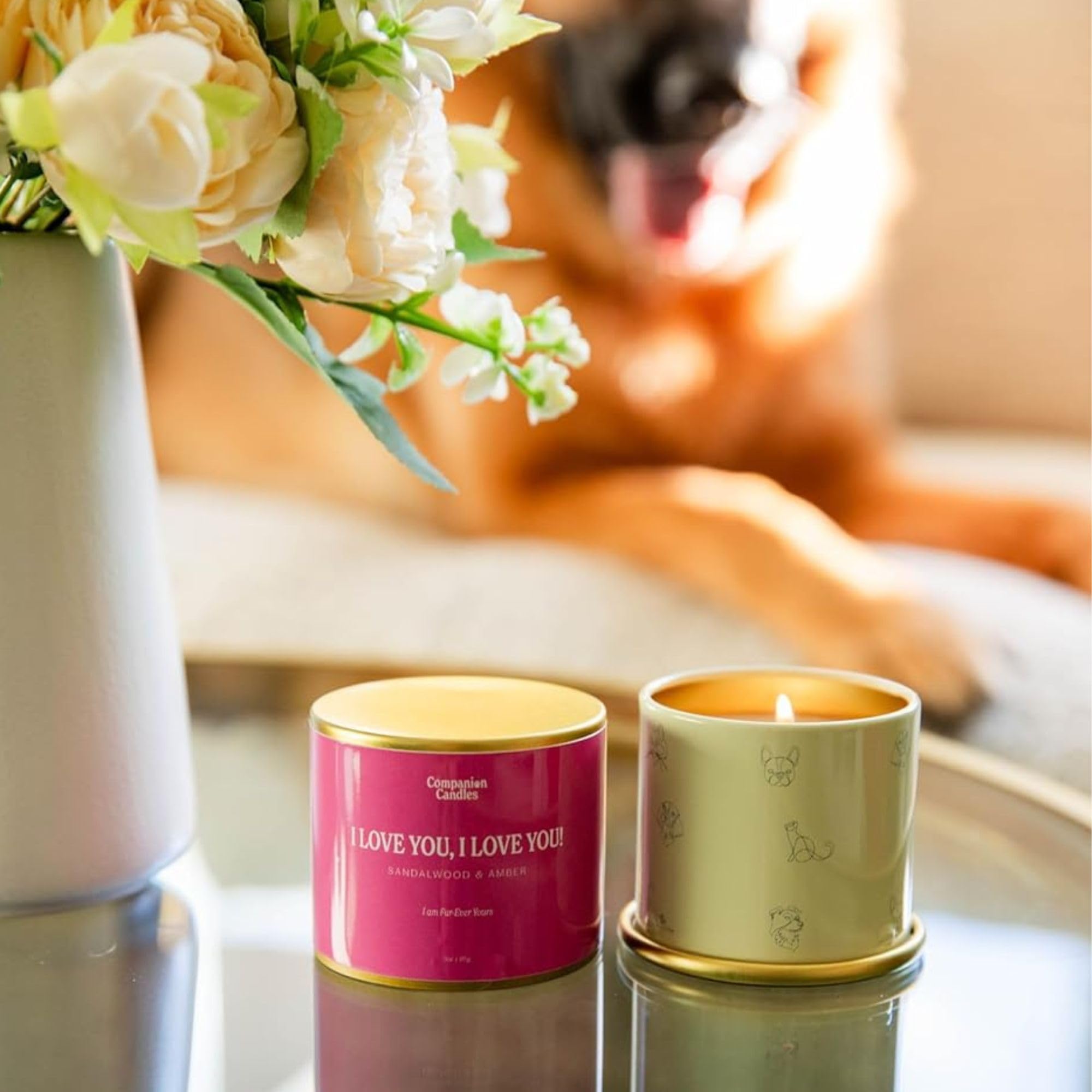 Companion Candles Pet Safe Wood Wick Candle - “I Love You, I Love You!” Sandalwood & Amber, Coconut Soy Wax Scented, Over 50 Hr Burn Time, Non-Toxic, Women-Owned, Made in USA (3 oz.)