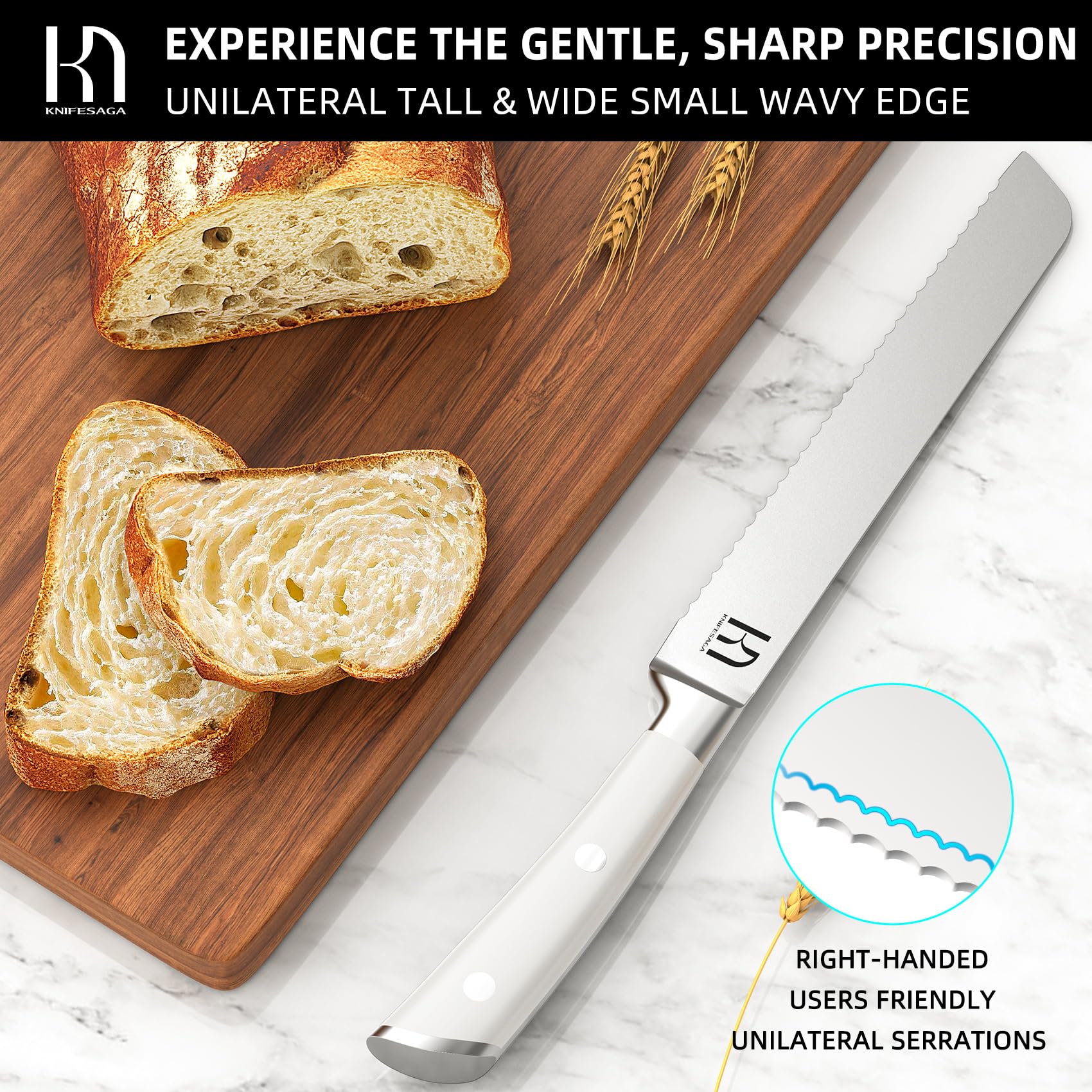 KnifeSaga Bread Knife for Homemade Bread 8 Inch, Japanese Serrated Sourdough Bread Slicing Knife Innovative High Carbon Stainless Steel, Razor Sharp Kitchen Bread Cutting Knife Ergonomic Handle, White