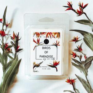 3 pack birds of paradise scent made in usa fragrance wax melts tarts luxury premium soy 3 2.4 ox clean ingredients essential oils hand poured cubes floral flowers long lasting scent