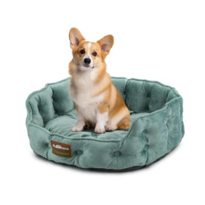 ClevaHome Cat Dog Bed for Small Pets up to 15lbs - Round Cat Beds for Indoor Cats, Machine Washable Comfortable Pet Bed for Puppy and Kitten with Non-Slip Bottom (Washed Green)