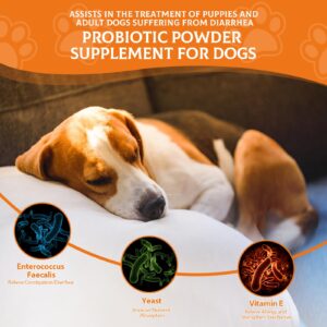 Moingo Probiotics for Dogs - Probiotic Powder for Dogs, Dog Probiotics for Immune and Digestive Health -120 Scoops Liver Flavored Probiotic Supplement