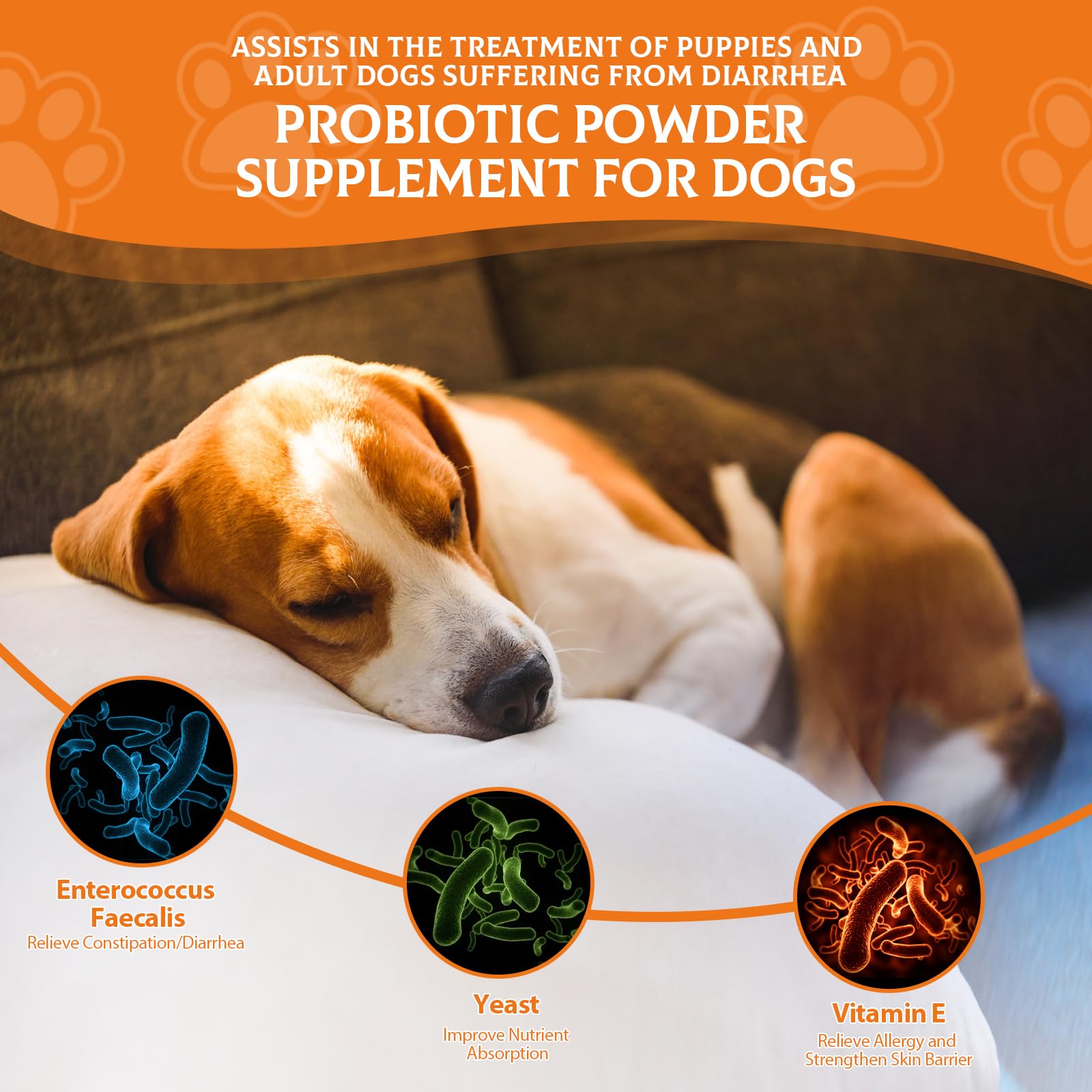 Moingo Probiotics for Dogs - Probiotic Powder for Dogs, Dog Probiotics for Immune and Digestive Health -120 Scoops Liver Flavored Probiotic Supplement